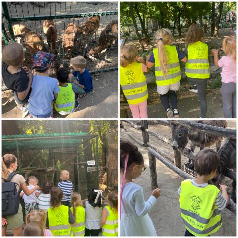 Kirándulás a Vadasparkba